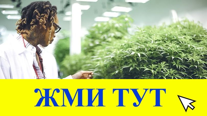 Купить наркотики в Боброве